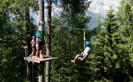 Kinder beim Ziplining im Waldseilgarten
