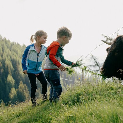 Kindern beim Kuhfüttern auf der Alm