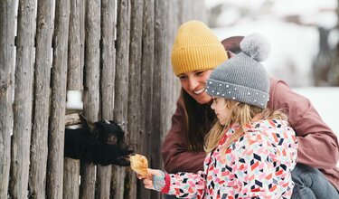 Kind beim Ziegen füttern