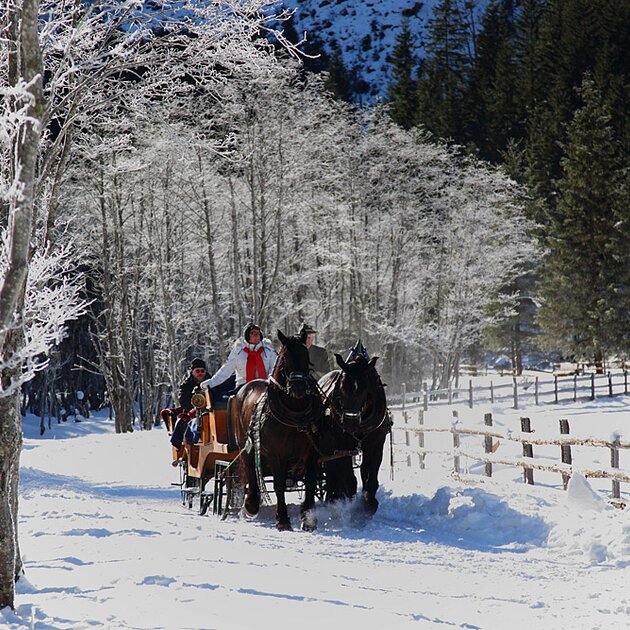 Pferdekutschenfahrt im Winter